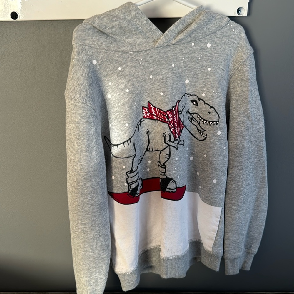 Dinosaur hoodie for Christmas